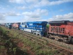 RUMO 9598